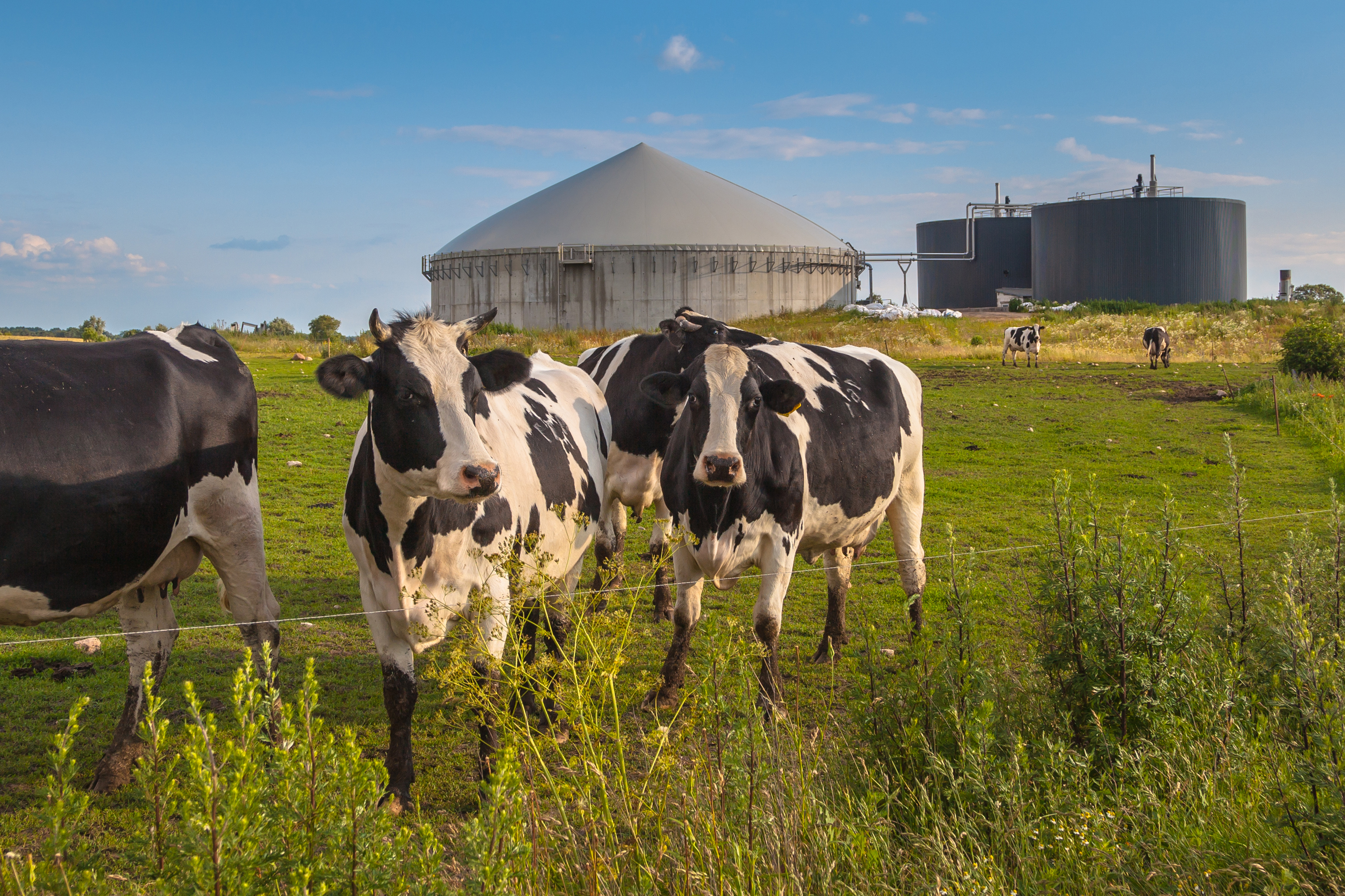 de-JGS-Landwirtschaft-01.jpg