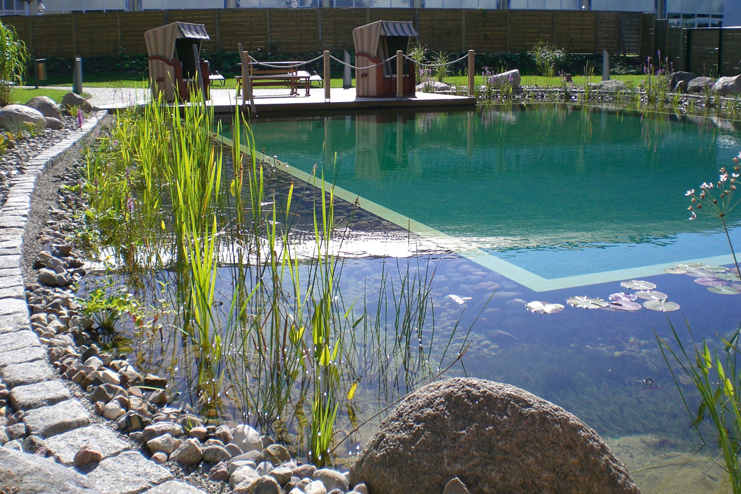 Teich & Schwimmteich